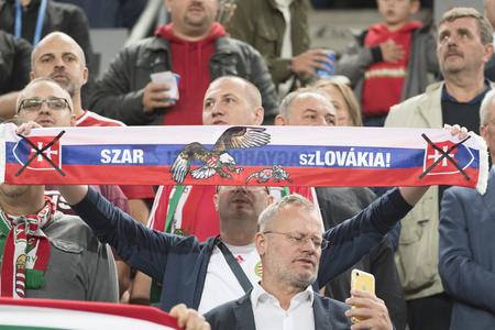 Problems occurred during the EURO 2020 qualification match between Slovakia and Hungary.