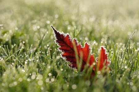 Temperature fell below zero amid summer in Slovakia
