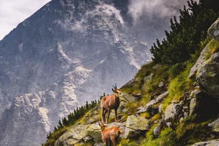 Tatras travel guide: A fresh take on the stunning soul of Slovakia