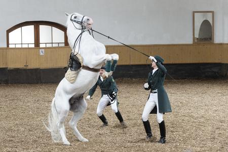 Hold your horses! Breeding Lipizzans another Slovakia UNESCO entry
