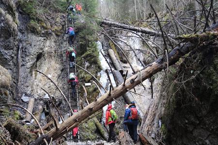 Tourists climb up a ladder in the national park Slovenský raj. 