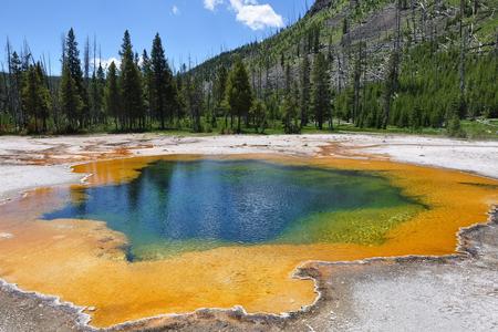 A hot spring in the Yellowstone National Park. 