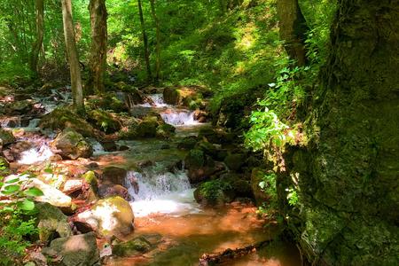 What a wonderful world: Zádielska gorge!