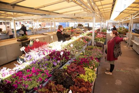 Outdoor markets have opened