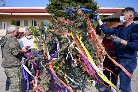 Slovak maypoles in the pandemic
