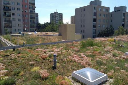 The extensive green roofs are those which, instead of traditional covering, are covered with low-maintenance plants.