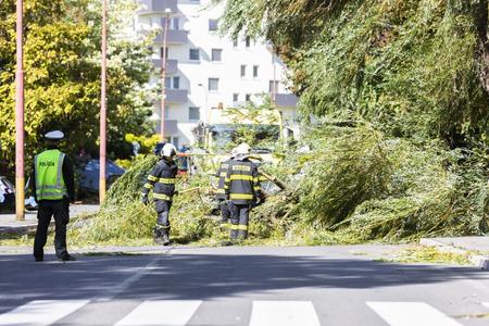 A tree fell on Podunajská Street in Bratislava.