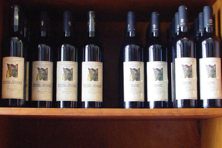 How to read a Slovak wine label