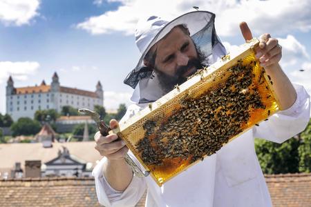 Beekeeper Róbert Kňažko looks after bees on a Bratislava roof in late June of 2020
