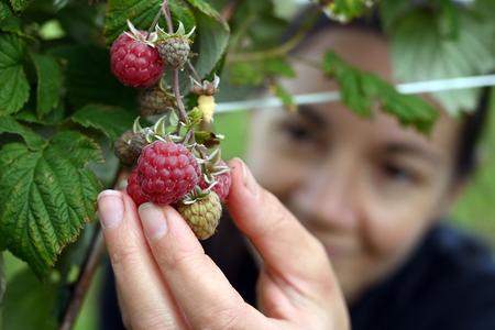 Lower food prices contributed to slower inflation