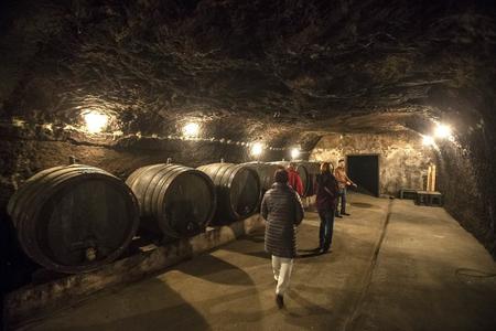Wine cellar in Žemberovce