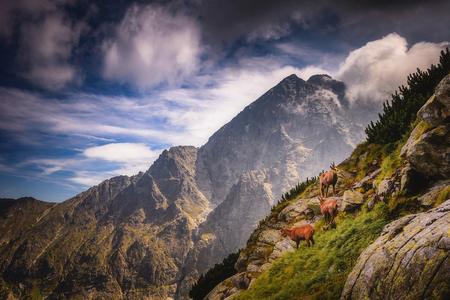 Tatras guide: A fresh take on the stunning soul of Slovakia