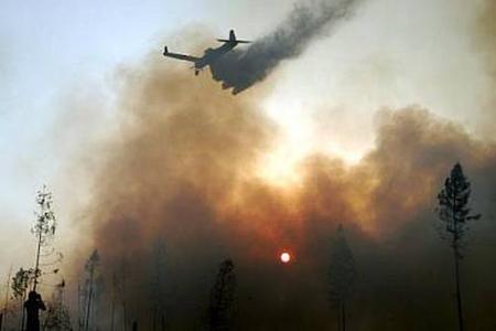An extensive fire hit the High Tatras on the last weekend of July 2005.