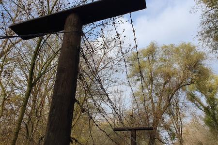 The barbed wire used to be charged with lethal high voltage.