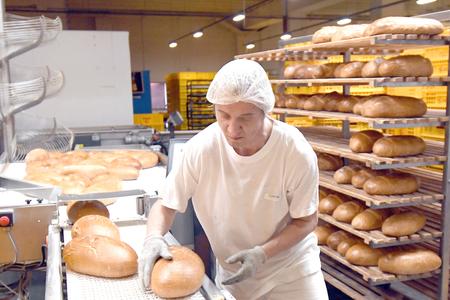 Recession could affect job market. No disaster expected