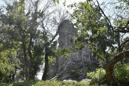 Viniansky castle