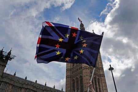 A pro EU protestor waves flags opposite the House of Parliament in London in April 2019.