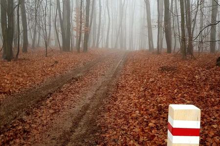 Where can you go during the lockdown in Bratislava? Try a new hiking and running path