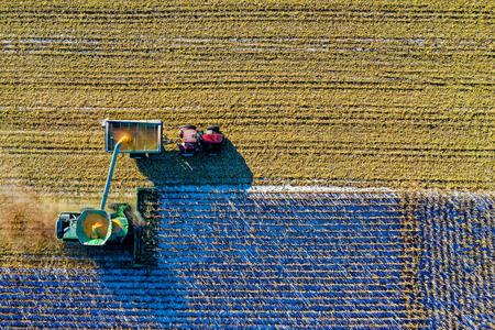 What would Slovak researchers study if they were given a blank cheque?