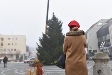 Installation of Christmas tree in Trnava