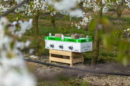 Waste has turned into something valuable worth a second life