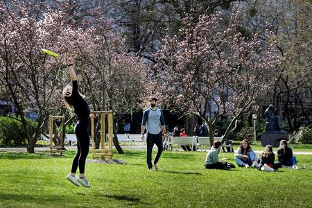 People can report insufficiently mowed lawns on the city of Bratislava's official website. 