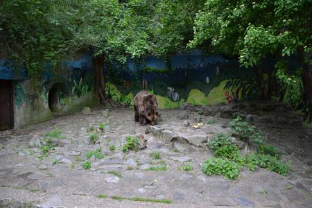 ‘Unprecedented’ Bratislava zoo set for overhaul as new boss takes the reins