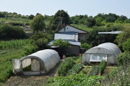 Village keeps breaking temperature records. What life looks like there.