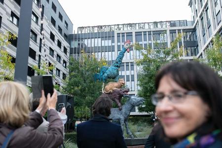 Donkey, dog, cat and a rooster. Four friends find a new home in Bratislava