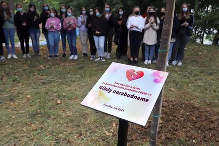 Linden has been chosen to memorialise Covid victims in Slovakia.
