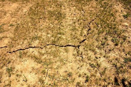 Cracks in the soil near Oponice, Nitra Region.