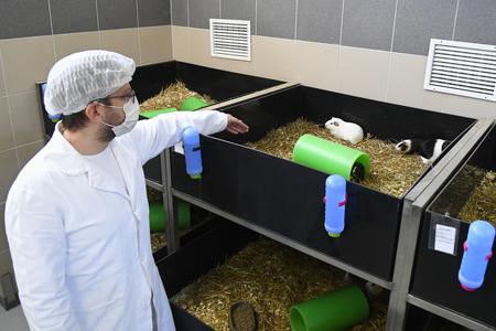 Sputnik V tested on animals in eastern Slovakia