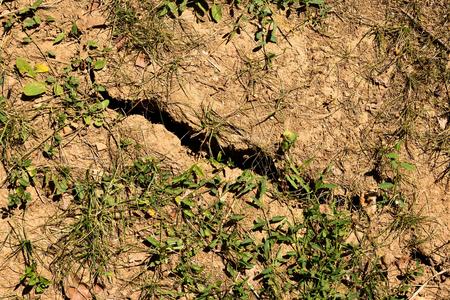 Extreme drought in more than half of Slovakia