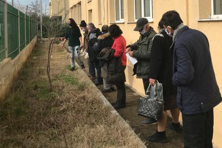 Blog: How a collective garden could help vulnerable groups during the pandemic