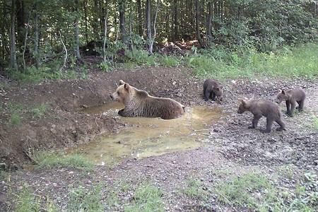 Природний курорт у Клубіні.