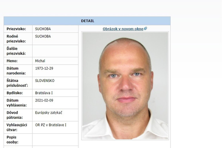A businessman reportedly pleaded guilty in corruption-related cases