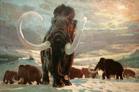 Mammoths were the first to discover Piešťany's thermal springs