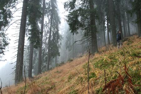 National Park Muránska Planina is a great place to start with hiking.