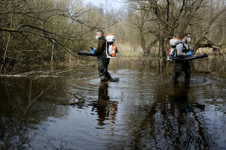 The first intervention of the year against mosquitos took place at a pond in Vajnory.