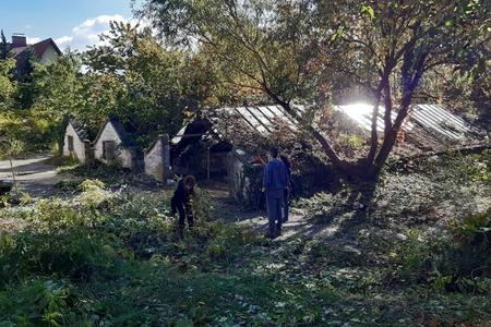 Old aristocratic garden centre in Bratislava has a chance to sprout back to life