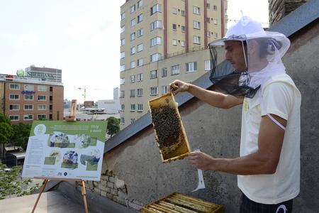 Bratislava honey tastes like a blend of meadow flowers and trees