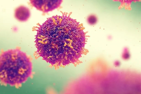 A measle virus particle.