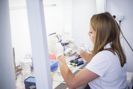 What is new in Slovak science?