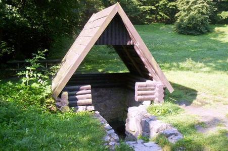 Only three springs in forests around Bratislava have potable water