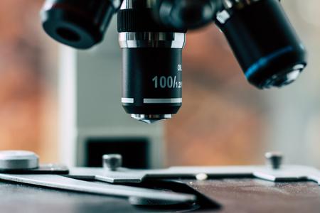 Slovak scientist’s study on lipid metabolism published in a prestigious journal