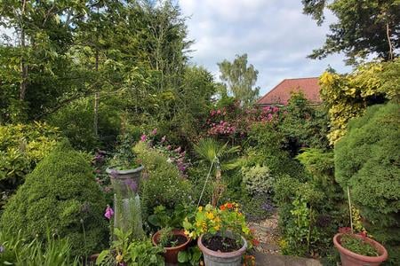 One legacy of my mum's lockdown was the beautiful garden that I could enjoy during my summer in England. 