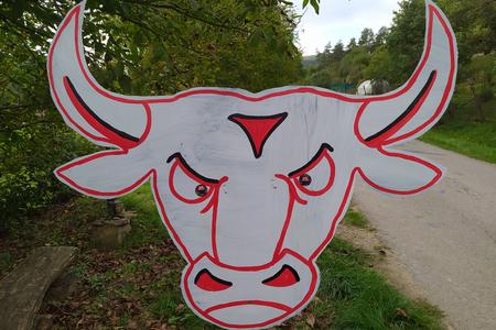 Rodeo in Nemšová
