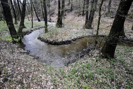The Vydrica brook 