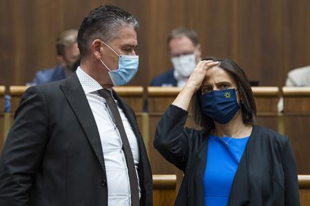 Roman Mikulec and Mária Kolíková presented the proposed document at the governmental session.