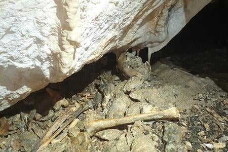 New caves, vessels, animal bones and human remains were found in the Liptov region in early 2022.